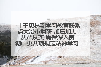 王忠林到学习教育联系点大冶市调研 加压加力 从严从实 确保深入贯彻中央八项规定精神学习教育取得实效