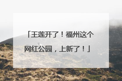王莲开了！福州这个网红公园，上新了！