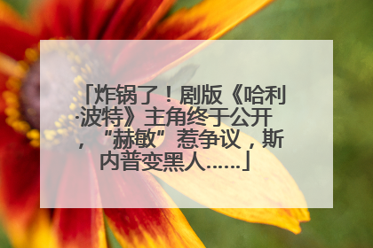 炸锅了！剧版《哈利·波特》主角终于公开，“赫敏”惹争议，斯内普变黑人……
