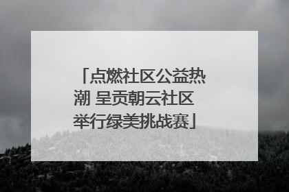 点燃社区公益热潮 呈贡朝云社区举行绿美挑战赛