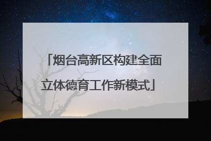 烟台高新区构建全面立体德育工作新模式