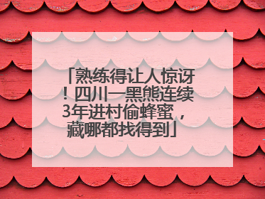 熟练得让人惊讶！四川一黑熊连续3年进村偷蜂蜜，藏哪都找得到