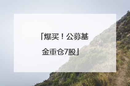 爆买！公募基金重仓7股