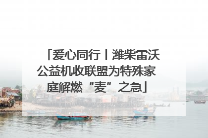 爱心同行丨潍柴雷沃公益机收联盟为特殊家庭解燃“麦”之急