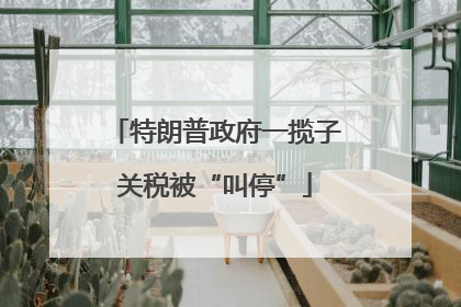 特朗普政府一揽子关税被“叫停”