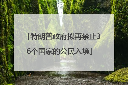 特朗普政府拟再禁止36个国家的公民入境