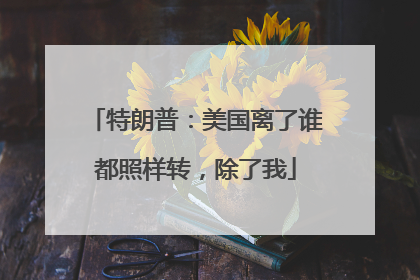 特朗普：美国离了谁都照样转，除了我