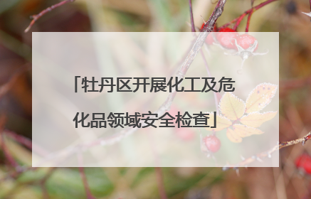 牡丹区开展化工及危化品领域安全检查