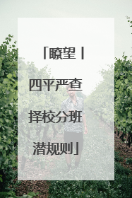 瞭望丨四平严查择校分班潜规则