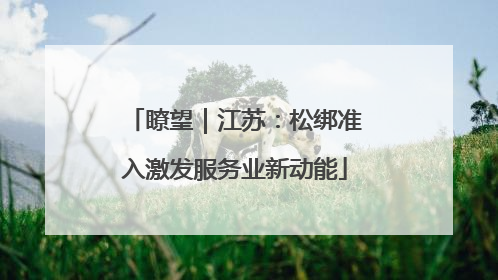 瞭望｜江苏：松绑准入激发服务业新动能