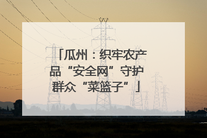 瓜州：织牢农产品“安全网”守护群众“菜篮子”