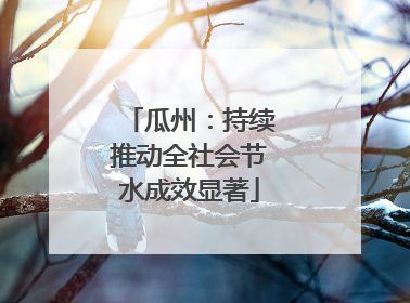 瓜州：持续推动全社会节水成效显著