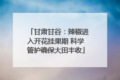 甘肃甘谷：辣椒进入开花挂果期 科学管护确保大田丰收
