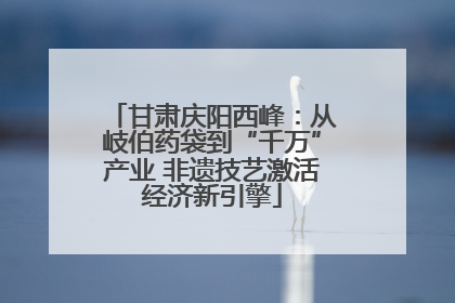 甘肃庆阳西峰：从岐伯药袋到“千万”产业 非遗技艺激活经济新引擎