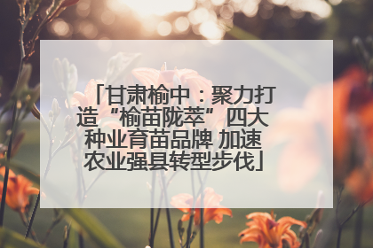 甘肃榆中：聚力打造“榆苗陇萃”四大种业育苗品牌 加速农业强县转型步伐