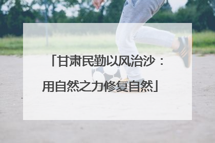 甘肃民勤以风治沙：用自然之力修复自然