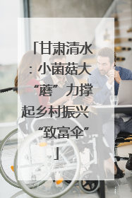 甘肃清水：小菌菇大“蘑”力撑起乡村振兴“致富伞”