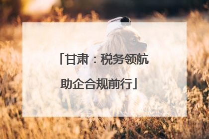 甘肃：税务领航 助企合规前行