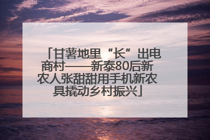 甘薯地里“长”出电商村——新泰80后新农人张甜甜用手机新农具撬动乡村振兴