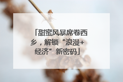 甜蜜风暴席卷西乡，解锁“浪漫+经济”新密码
