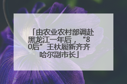 由农业农村部调赴黑龙江一年后，“80后”王杕履新齐齐哈尔副市长