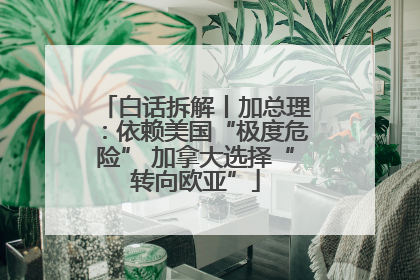 白话拆解丨加总理：依赖美国“极度危险” 加拿大选择“转向欧亚”