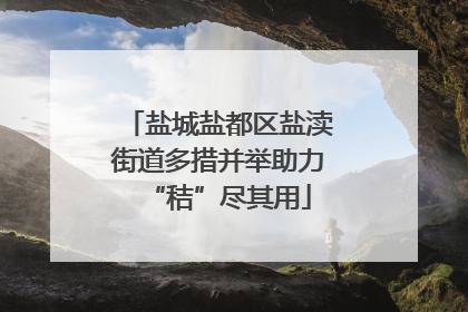 盐城盐都区盐渎街道多措并举助力“秸”尽其用