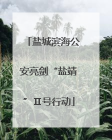 盐城滨海公安亮剑“盐靖”Ⅱ号行动