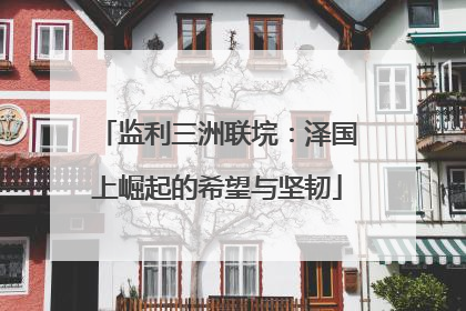 监利三洲联垸：泽国上崛起的希望与坚韧