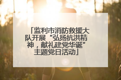 监利市消防救援大队开展“弘扬抗洪精神，献礼建党华诞”主题党日活动