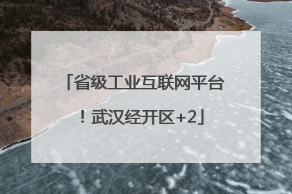 省级工业互联网平台！武汉经开区+2