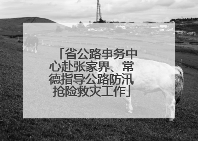 省公路事务中心赴张家界、常德指导公路防汛抢险救灾工作