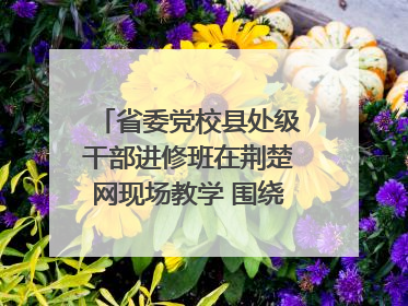省委党校县处级干部进修班在荆楚网现场教学 围绕网络综合治理工作展开交流