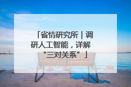 省情研究所｜调研人工智能，详解“三对关系”