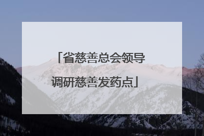 省慈善总会领导调研慈善发药点