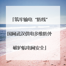 筑牢输电“防线” 国网武汉供电多维防外破护航电网安全
