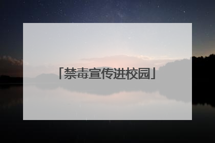 禁毒宣传进校园