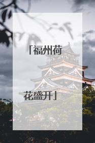 福州荷花盛开