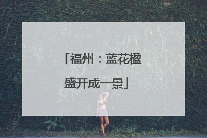 福州：蓝花楹盛开成一景