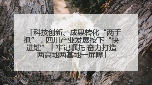 科技创新、成果转化“两手抓”，四川产业发展按下“快进键”丨牢记嘱托 奋力打造两高地两基地一屏障
