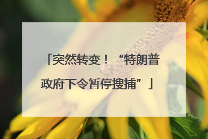 突然转变！“特朗普政府下令暂停搜捕”