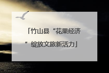 竹山县“花果经济”绽放文旅新活力
