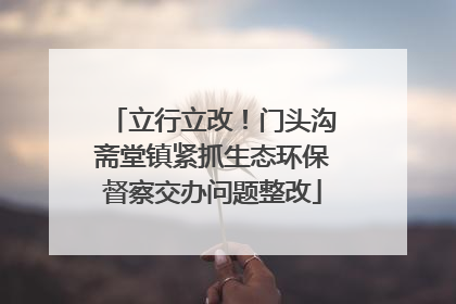 立行立改！门头沟斋堂镇紧抓生态环保督察交办问题整改