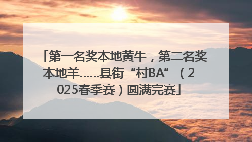 第一名奖本地黄牛,第二名奖本地羊……县街“村BA”(2025春季赛)圆满完赛