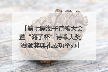 第七届海子诗歌大会暨“海子杯”诗歌大奖赛颁奖典礼成功举办
