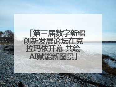 第三届数字新疆创新发展论坛在克拉玛依开幕 共绘AI赋能新图景