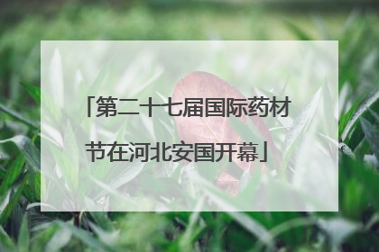 第二十七届国际药材节在河北安国开幕
