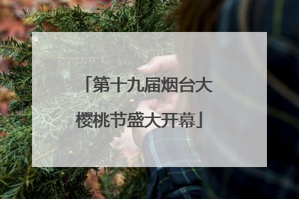 第十九届烟台大樱桃节盛大开幕