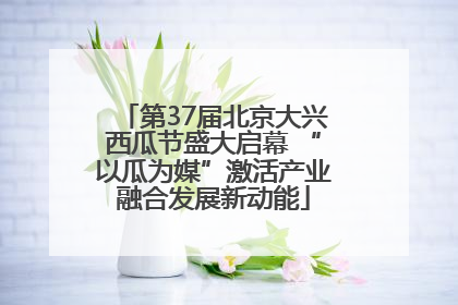 第37届北京大兴西瓜节盛大启幕 “以瓜为媒”激活产业融合发展新动能