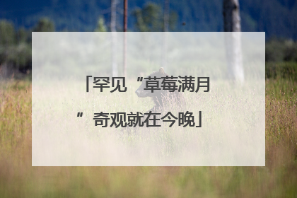 罕见“草莓满月”奇观就在今晚